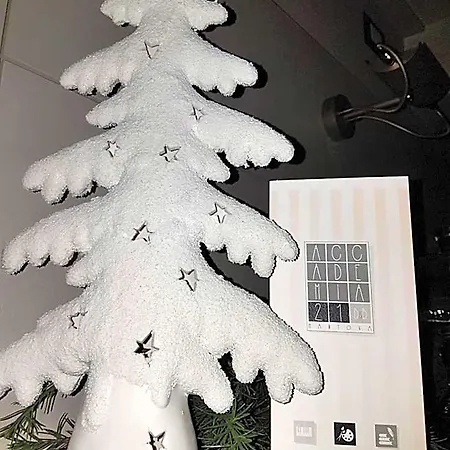Bed & Breakfast Accademia 21